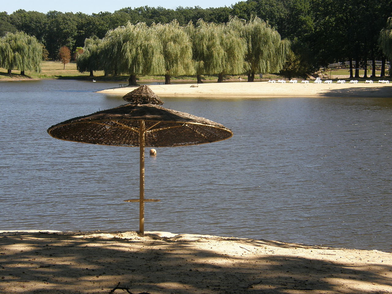 Forest Park
